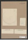 Stictodiscus sp. (de-Toni-Nr.: Genus 205) Zeichnungen Sammlung Grunow Nr. 9062 (NHMW-BOT-W0378807)